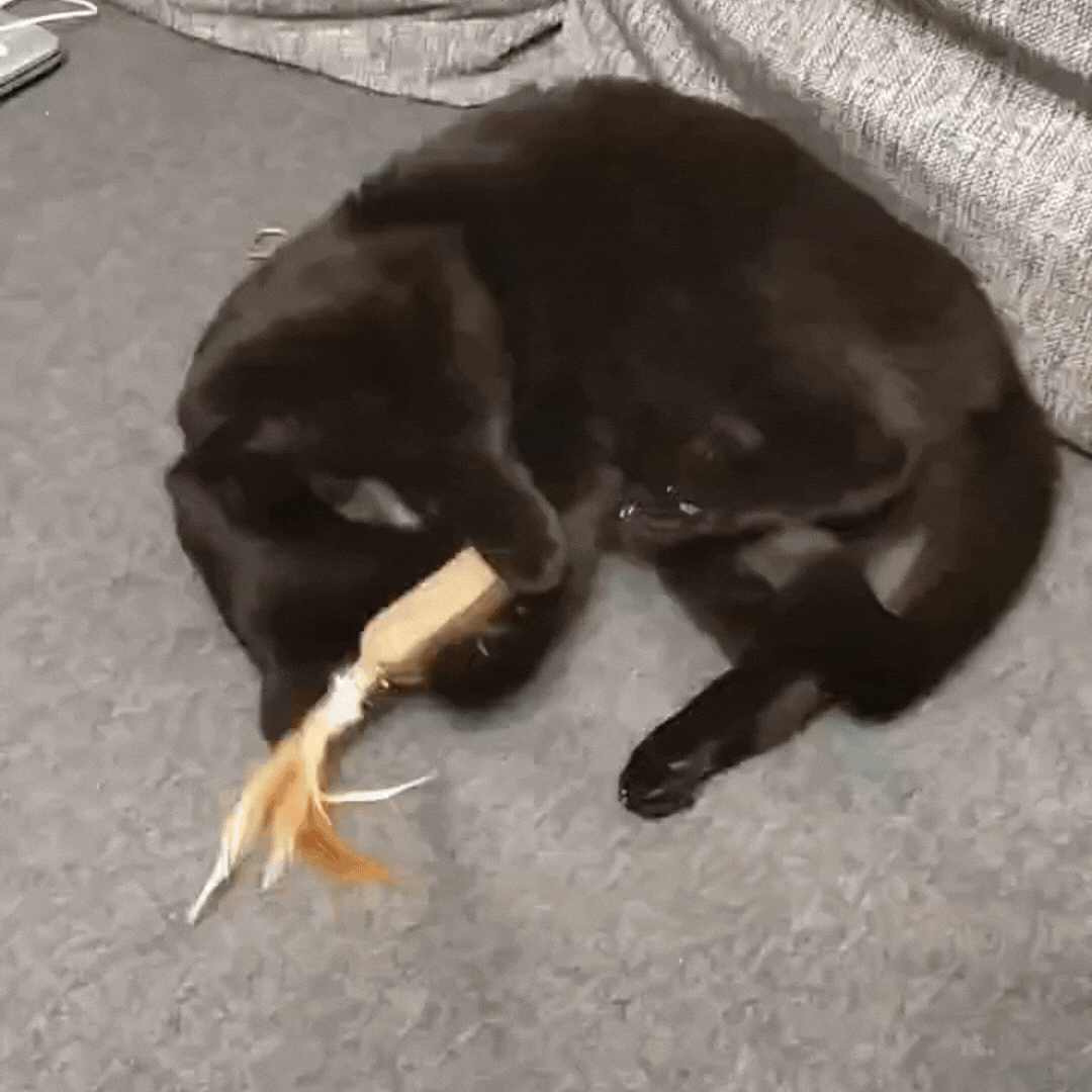 Подходящая игрушка - залог веселья!