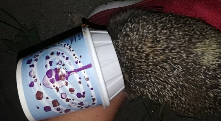 -2