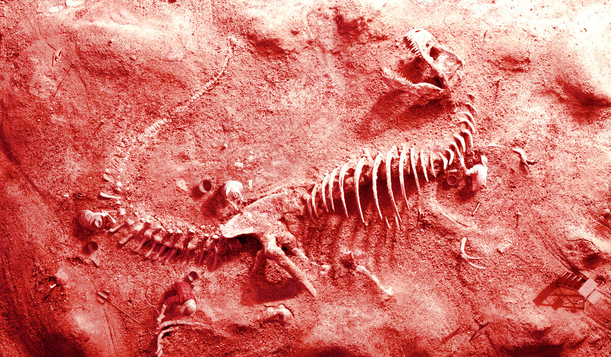 Фото: paleohunters.ru
