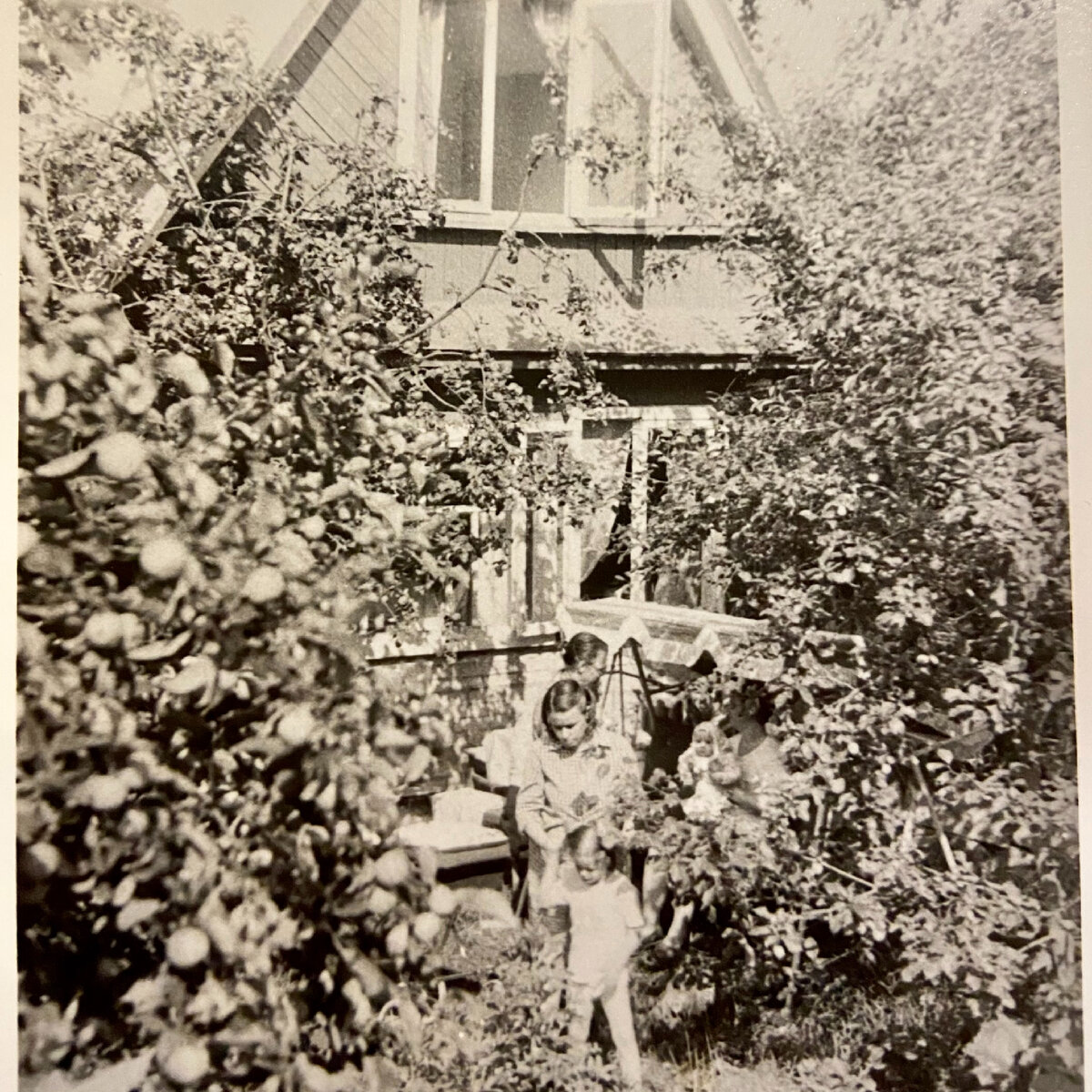 Наш старый сад. Здесь прошло мое детство.