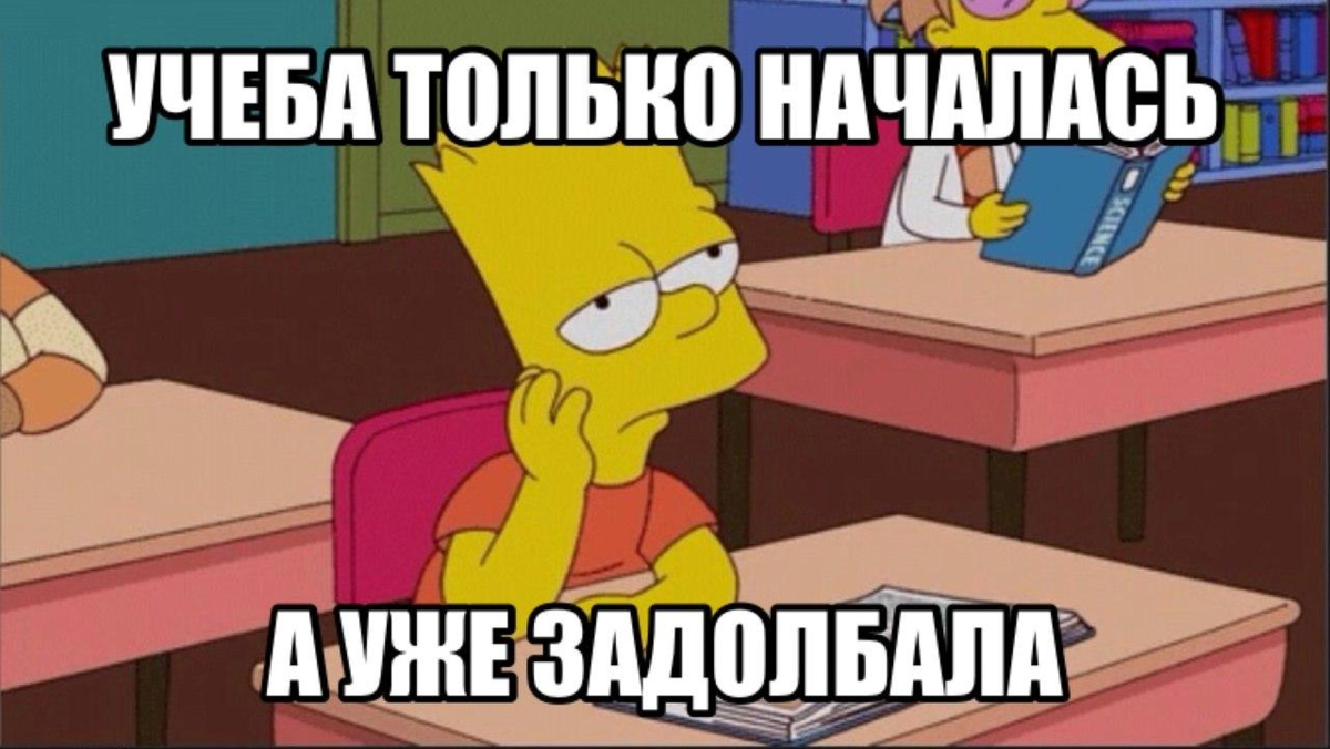 Прикольные картинки про учебу