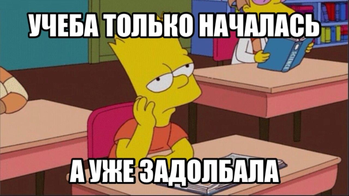 Начался вид. Мемы про учебу. Учеба началась. Смешные мемы про учебу. Снова на учебу картинки.