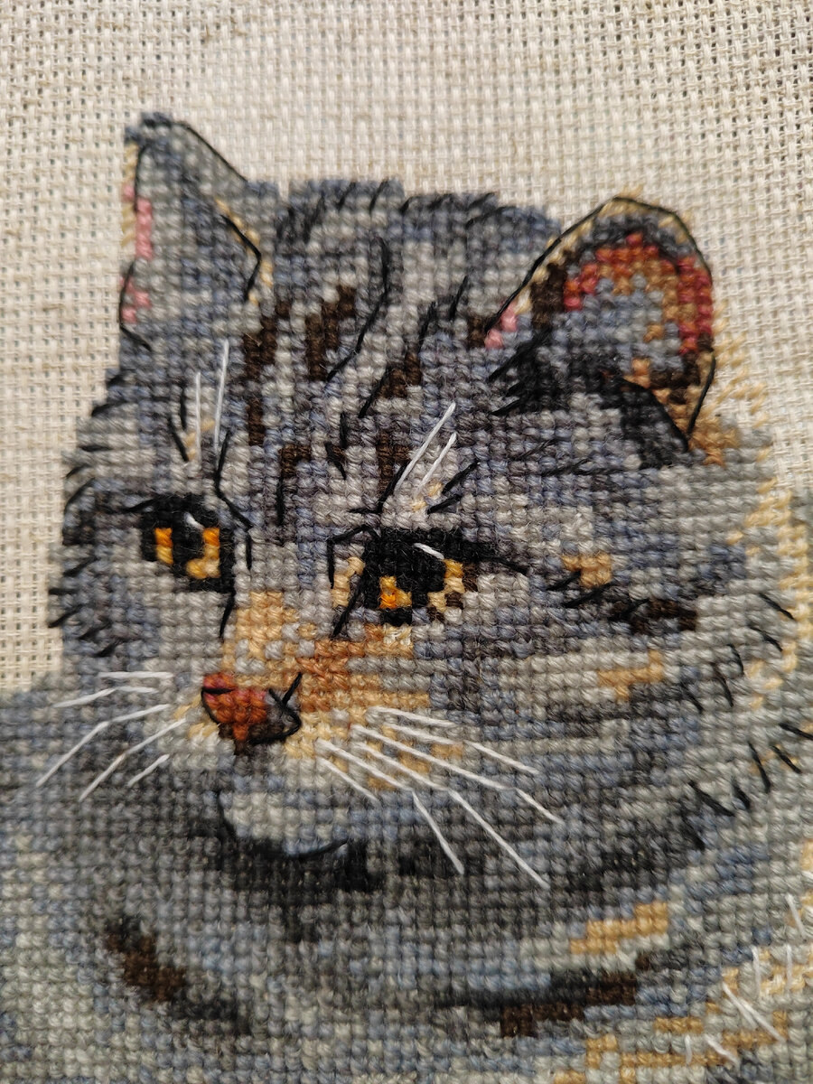 Взгляните поближе в эту милую, умную и статную мордочку!