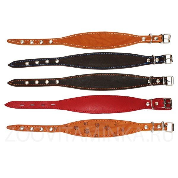 Ошейники для щенков басенджи