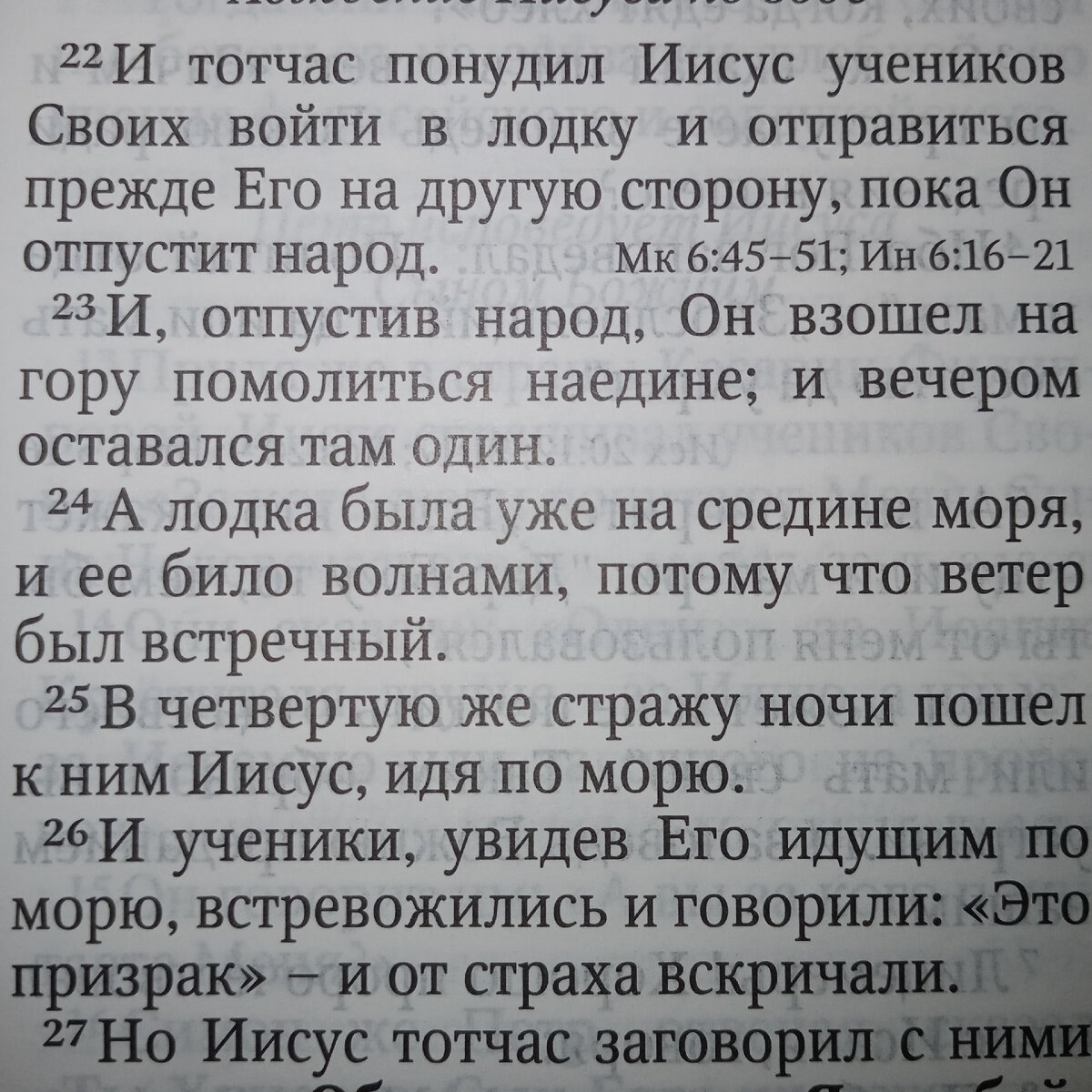 И тотчас понудил Иисус учеников Своих войти в лодку и отправиться прежде Его на другую сторону, пока Он отпустит народ.
23 И, отпустив народ, Он взошёл на гору помолиться наедине; и вечером оставался там один.
24 А лодка была уже на середине моря, и её било волнами, потому что ветер был противный.
25 В четвертую же стражу ночи пошёл к ним Иисус, идя по морю.
26 И ученики, увидев Его, идущего по морю, встревожились и говорили: это призрак; и от страха вскричали.
27 Но Иисус тотчас заговорил с ними и сказал: ободритесь; это Я, не бойтесь.

