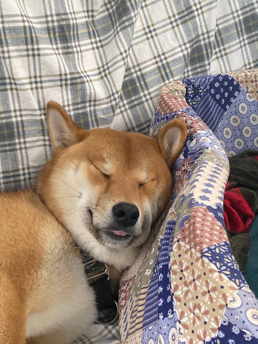 Еду навстречу приключениям!