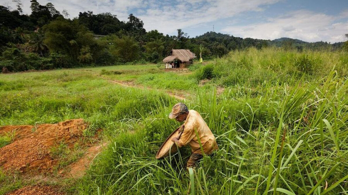 Добыча драгоценных камней на Шри-Ланке. Фото: Илья Варламов.