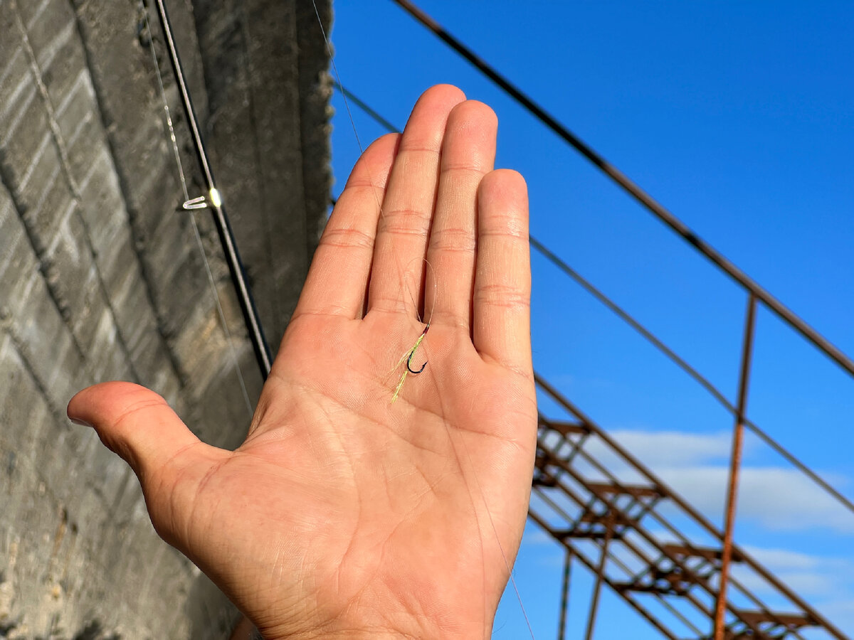 прыгнуть с пирса голым 