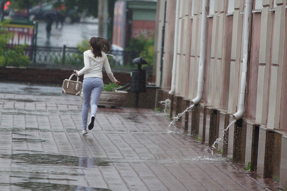     Погода в Новосибирске на 7 августа 2022 года порадует свежестью летнего дождя. Алексей БУЛАТОВ