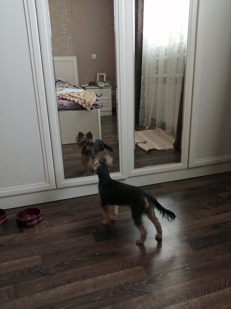 Примеряет все свои имена перед зеркалом) 