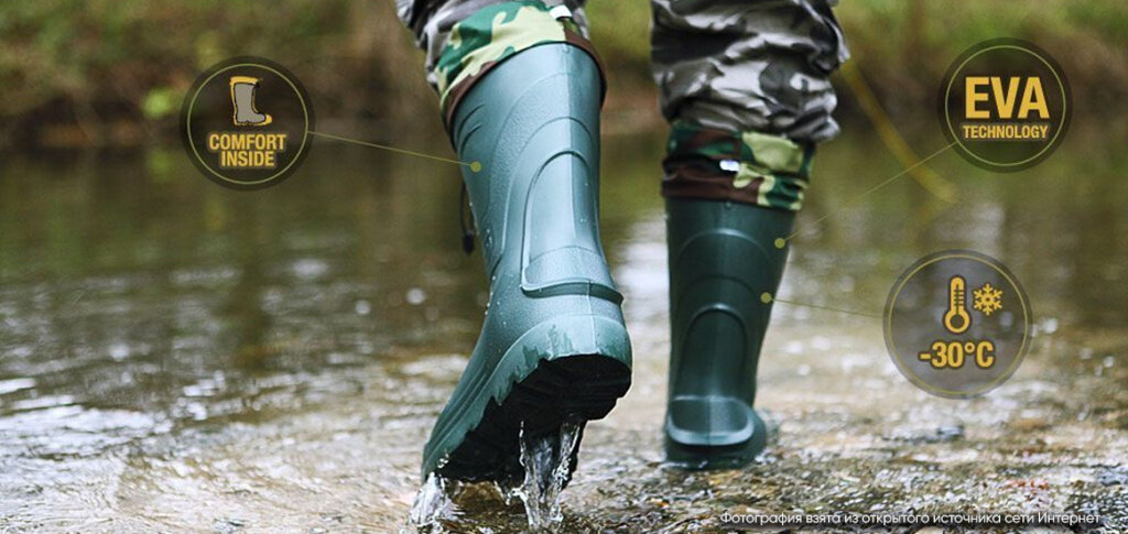 Изображение взято из открытого источника Интернет