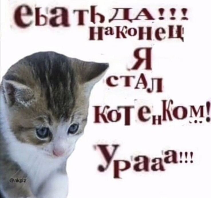 Надеюсь, вы почувствовали энергетику этого высказывания, потому что она буквально бьёт по лицу через экран💃
