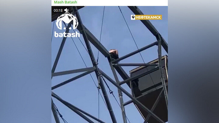 ФОТО: телеграм-канал Mash Batash