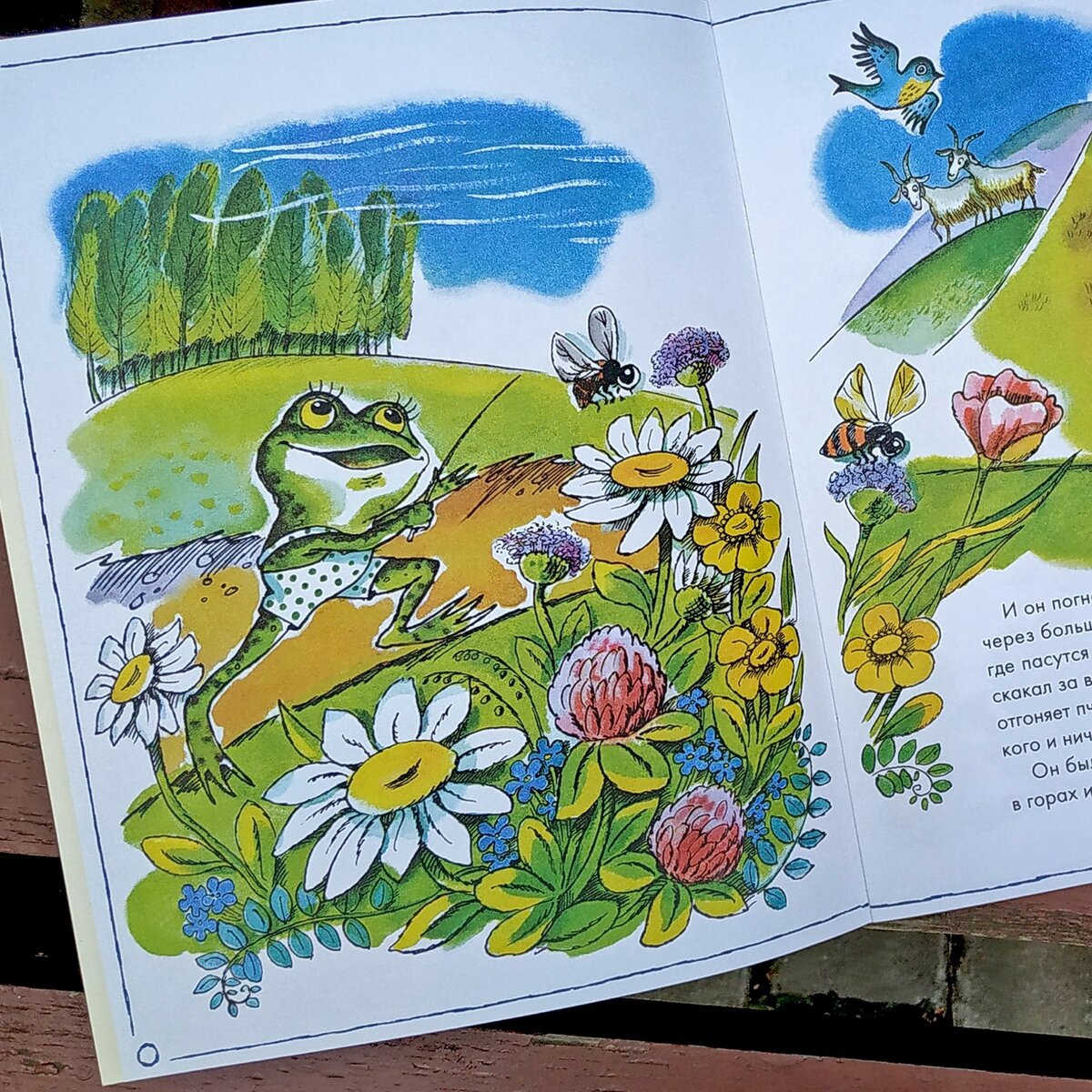 Книга цыферова как лягушонок папу искал. Цыферов г. Как лягушонок и скал папк. Цыферов г. Цыферов г.