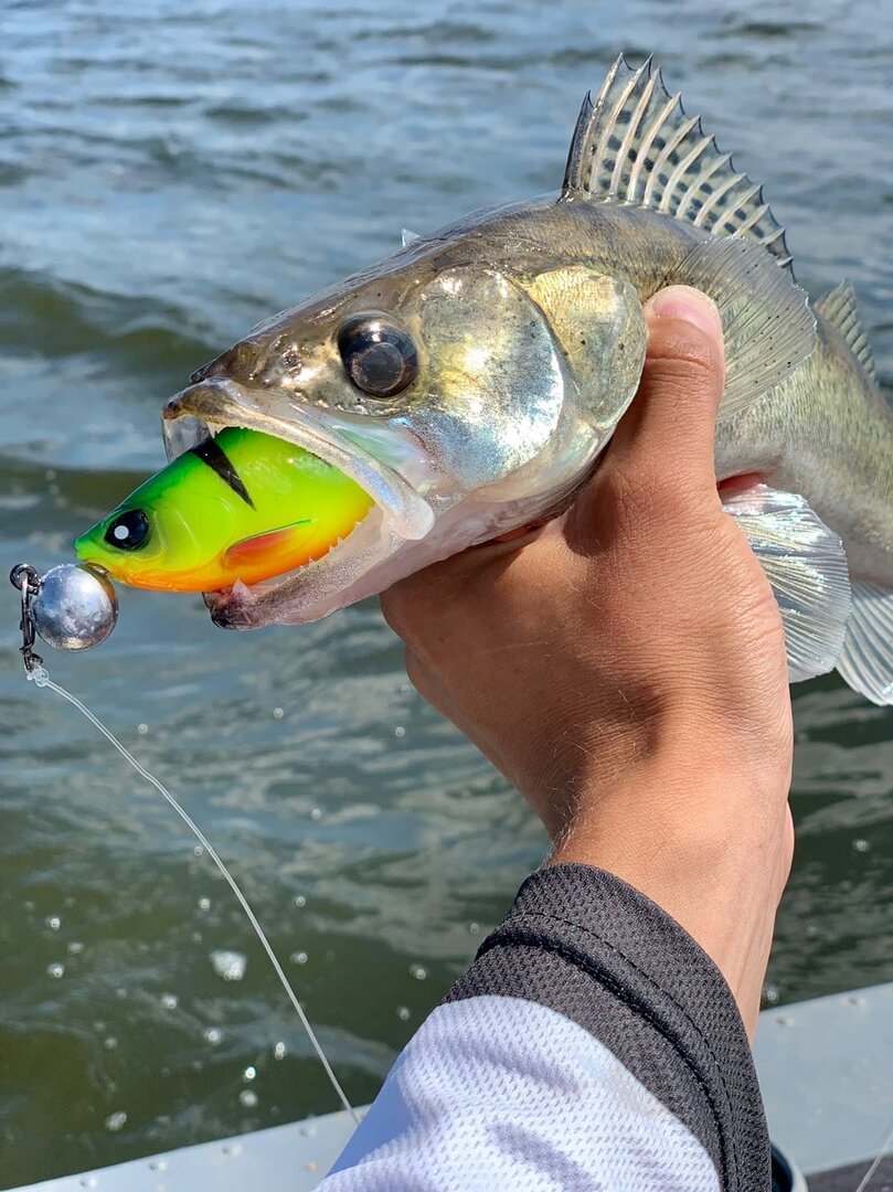 Джиговые оснастки и хитрости.