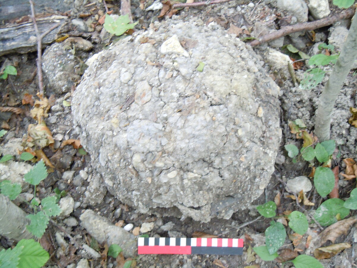 Ранее уже упоминал в другой теме об этом феномене. В 2023 году сделал несколько снимков. Вот самый красивый гладкий участок каменной дороги на пути из станицы Севастопольская к посёлку Победа.-31