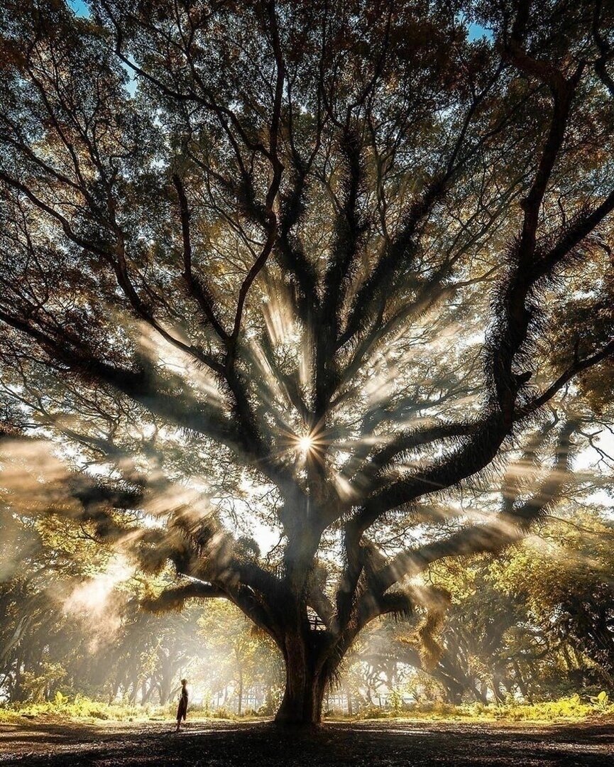 Источник pinterest