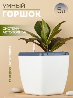 Улучшите качество воздуха в вашем доме