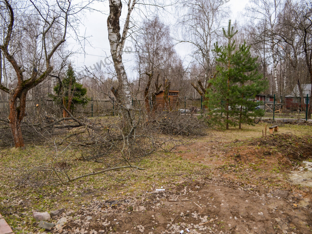 Фото участка до начала рабо