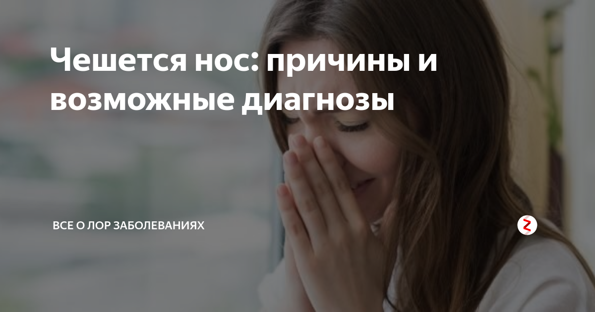 Почему чешется нос и чихаешь. Почему чешется нос. Почему чешется переносица.