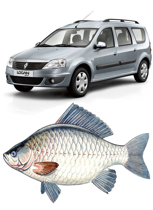 карась склизский и костлявый. к наживке надо добавлять WD40