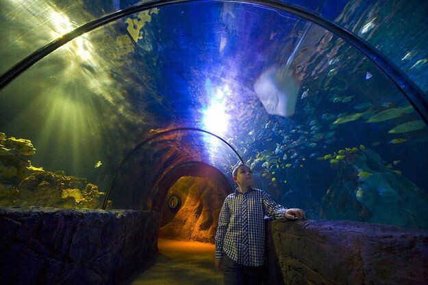 Фото:https://womanadvice.ru