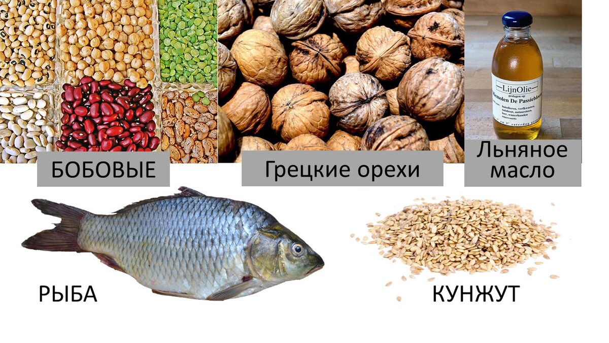 3 жира. Продукты богатые Омега 3. Омега 3 продукты грецкие. Омега 3 в орехах. Рыба и льняное масло.