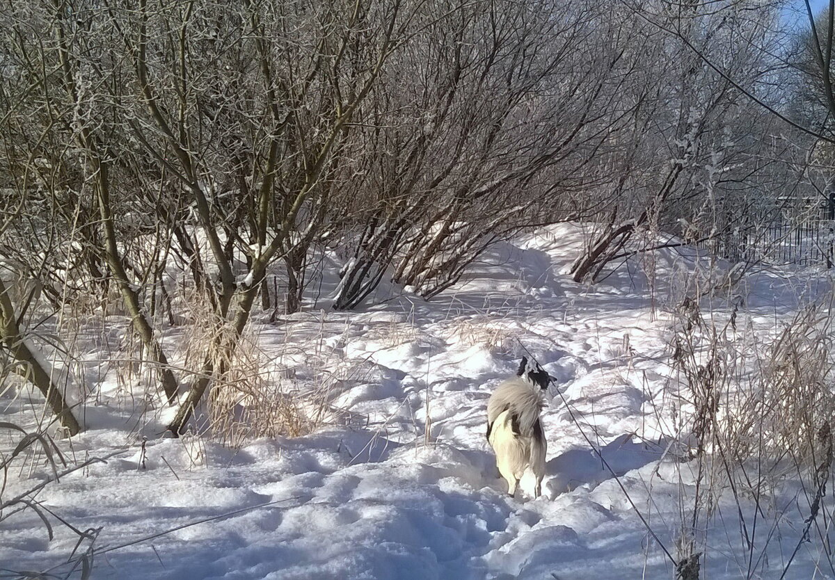 Наши заповедные места
