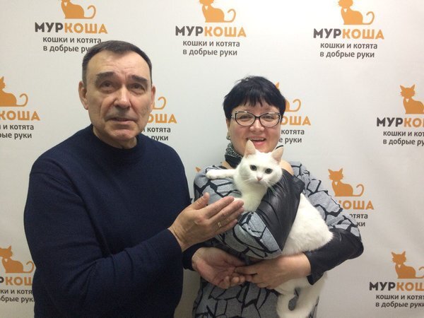 Бьянка  никогда не была  домашней, но и уличной ее тоже не назовешь. Кошечка  долгое время жила на  стройке вместе со строителями, считая их своей  семьей. Но вот стройка  закончилась, и белоснежная красавица осталась  совсем одна. 