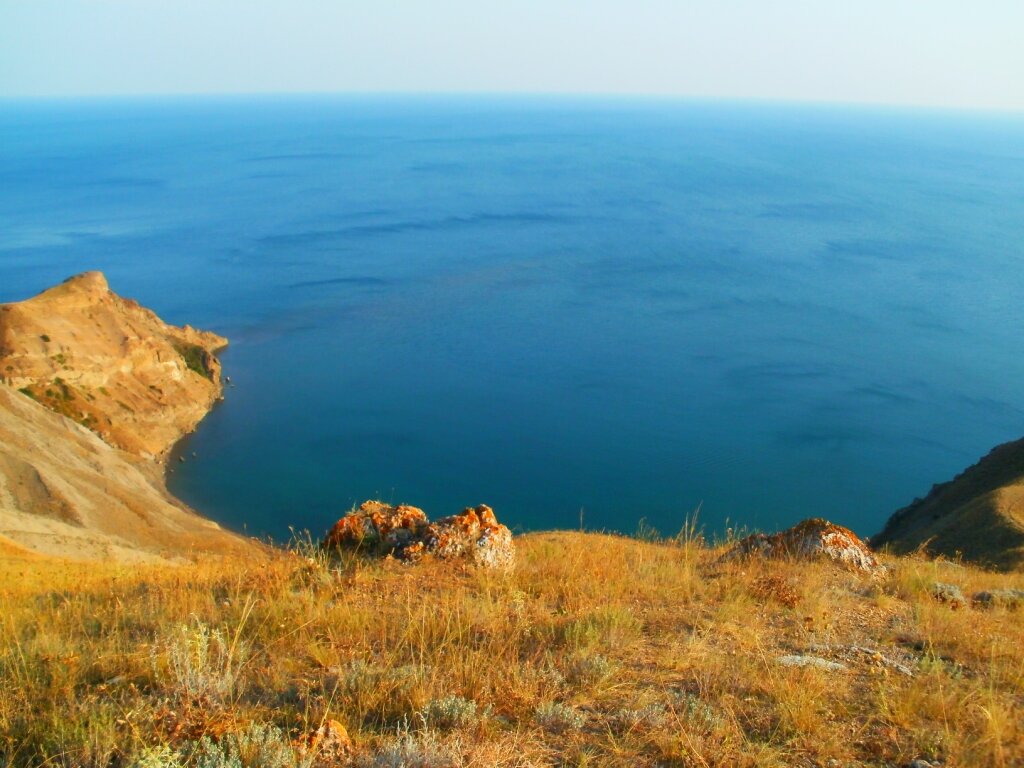 В Чёрном море обитает три вида медуз