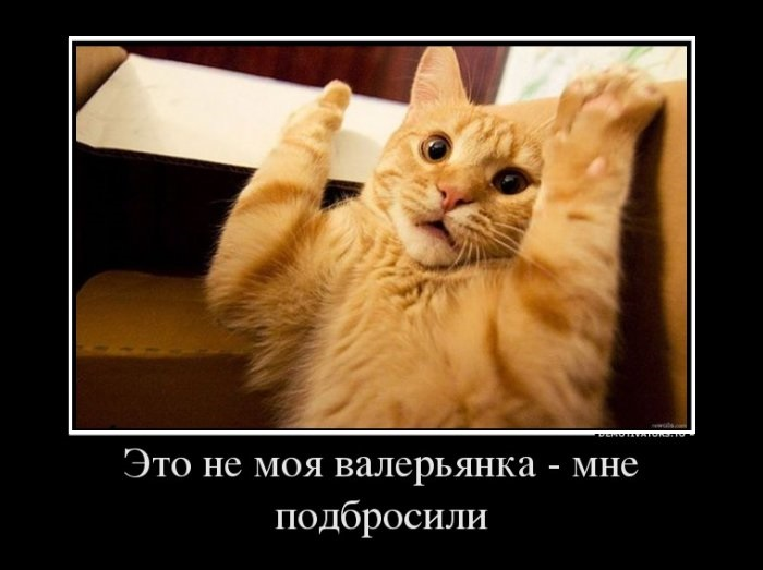 Теперь туалет