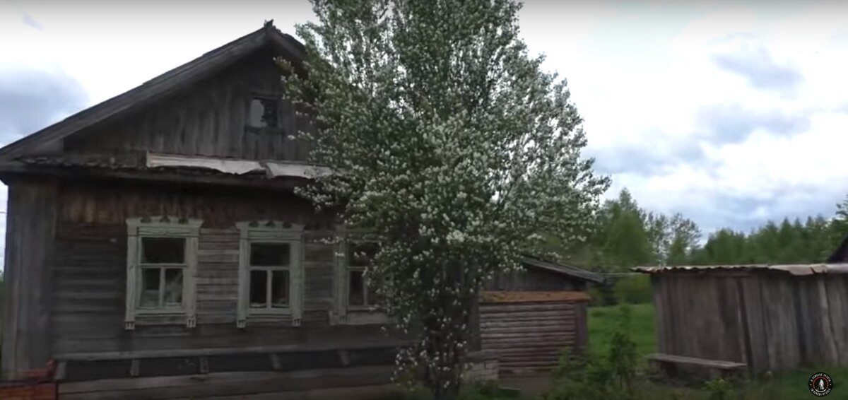 (фото с ютуб канала В поисках золота! Life Channel) 