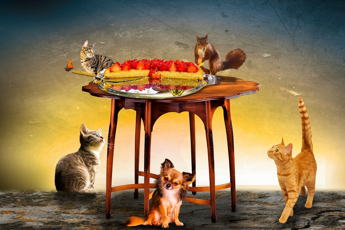 Источник фото: pixabay.com