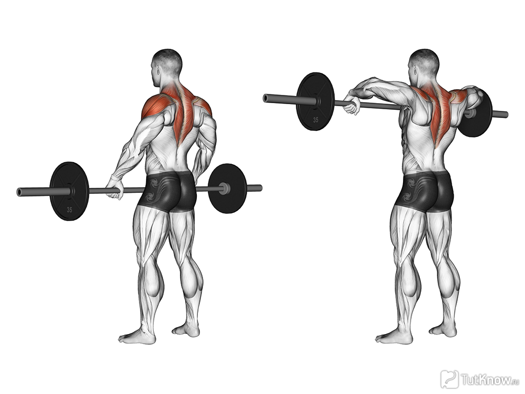 Как делать тягу гантели