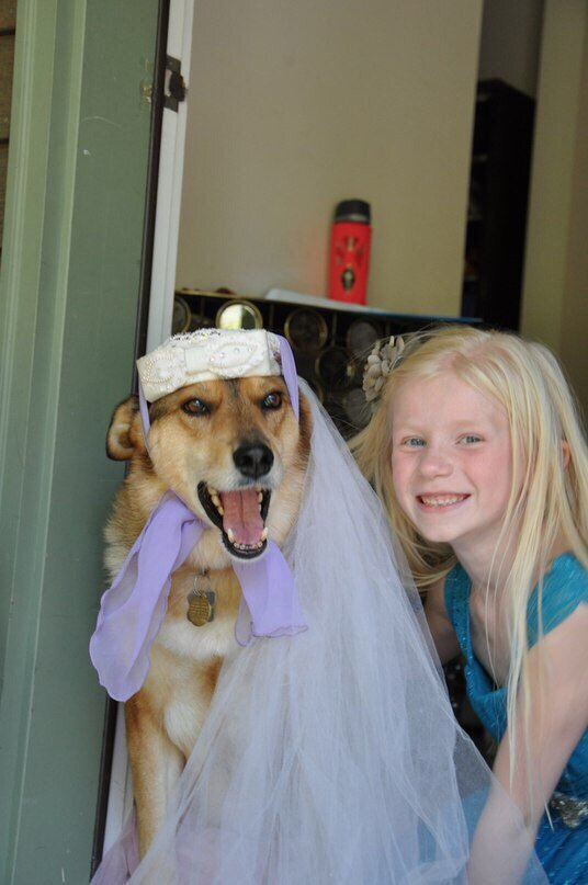 Собачка Тыква жила в московском приюте, а теперь в Америке