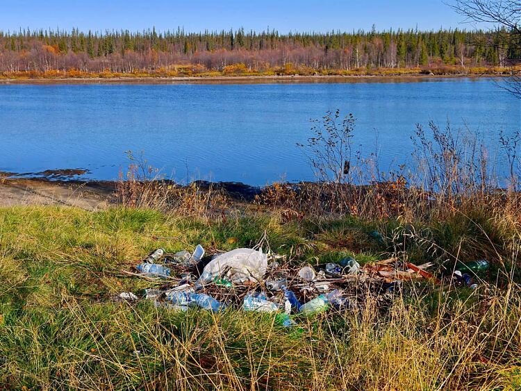 Фото: Олег ФилонокНа фоне золота и синевы...