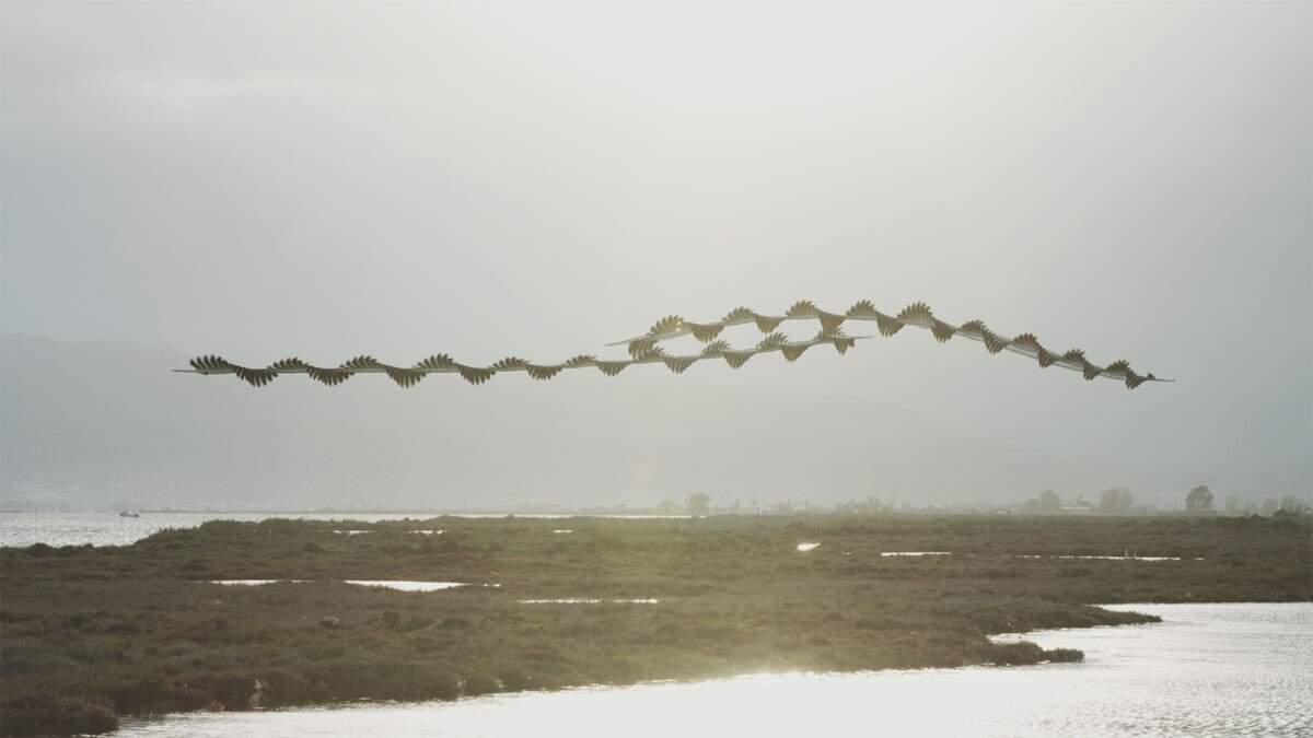 © Хави Боту (Xavi Bou)