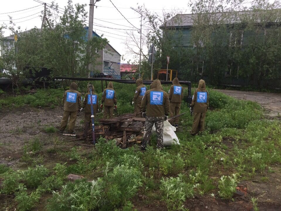  Фото предоставлено проектом «Будущее Арктики»