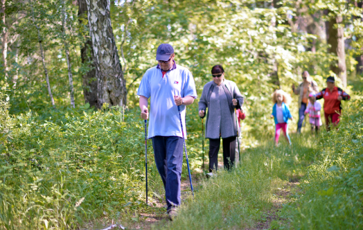 у каждого санатория есть свои пешеходные маршруты