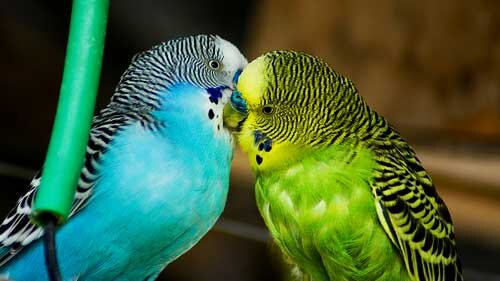 точно такие же были у меня