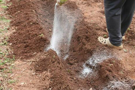 Для получения хорошего урожая, необходимо ухаживать за почвой, чтобы ваши растения получали необходимые питательные вещества.