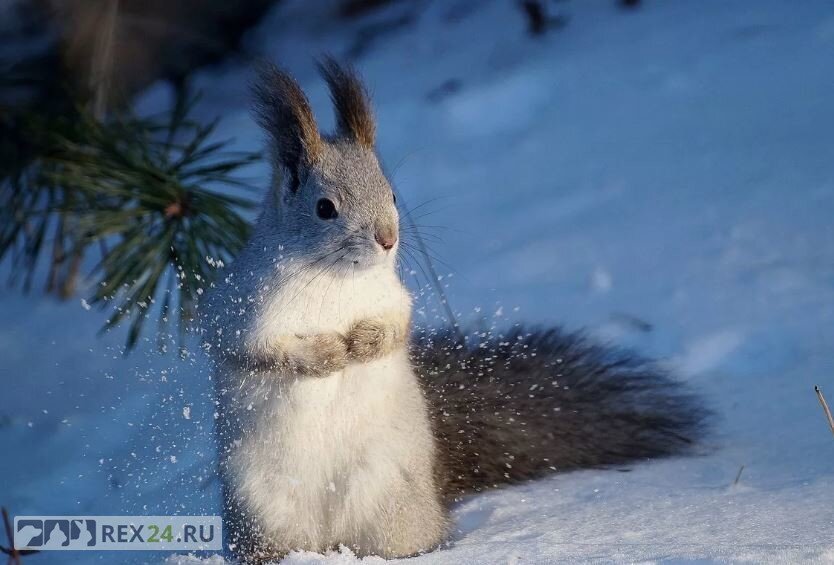 Фото: yandex.ru