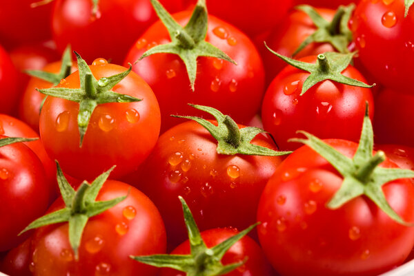 Лучшие удобрения для томатов