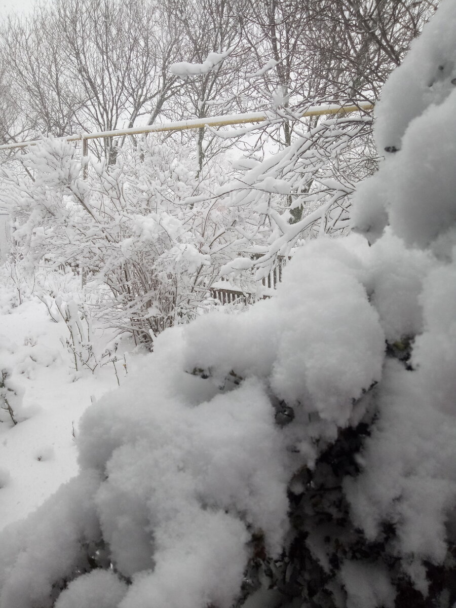 Порадовал нас снег и через 2 дня растаял в принципе это идеальная зима