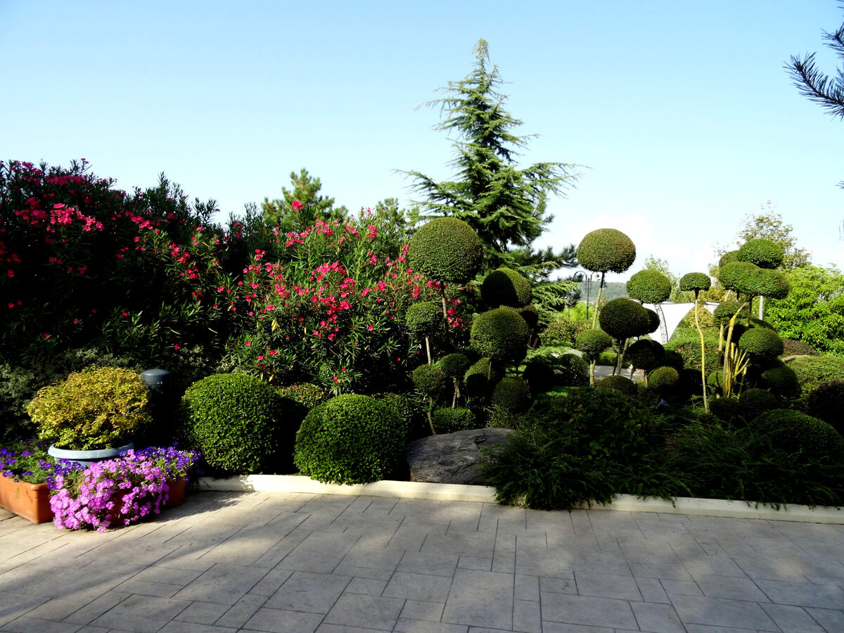 Зелёная территория Сочи Парка Адлера