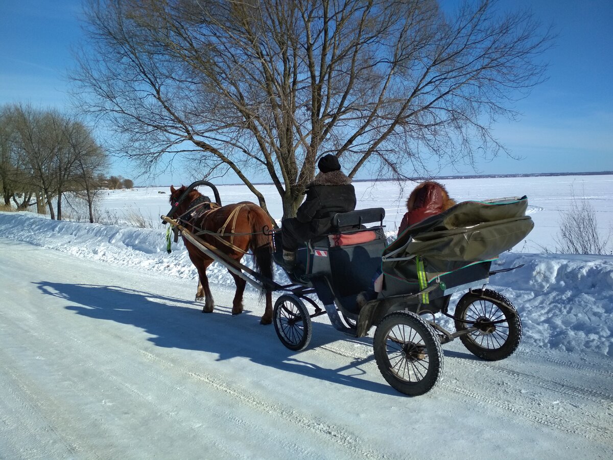 Ямщик перевозит бояр. Ростов Великий, 2018 год.