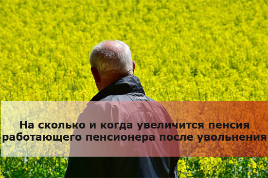 
Фото: pixabay.com