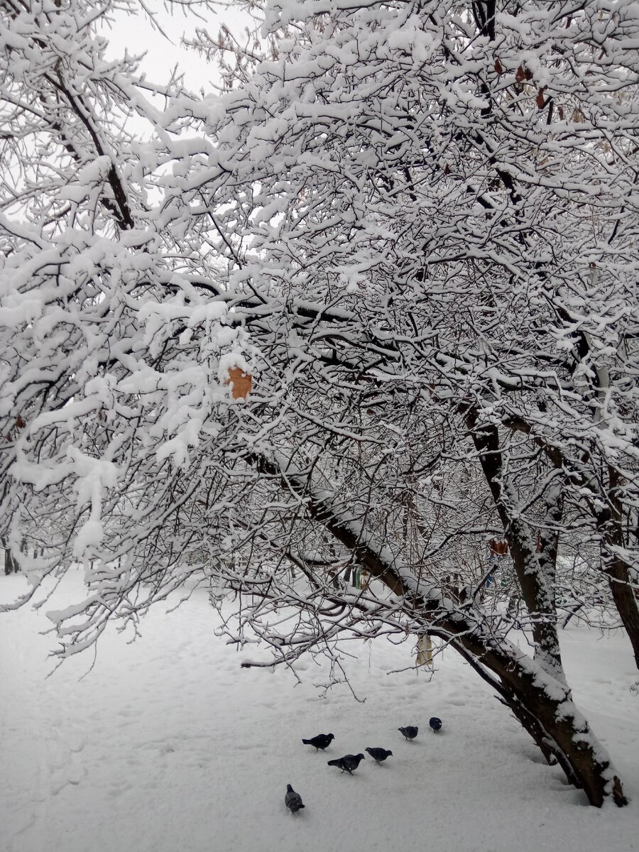 Буквально в двух шагах от дома...