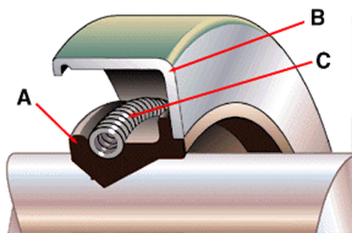  Конструкция сальника