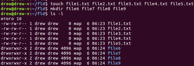 создали 5 пустых текстовых файлов и еще 4 папки